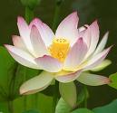 spiritual growth