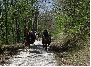 Sharon on her Horse