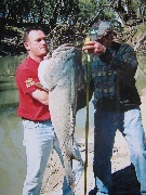 Matt's Murray Cod