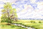 Spring