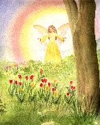 Tulip-Fairy
