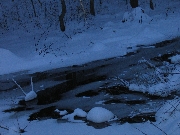 Sight near the woods