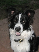 Chester