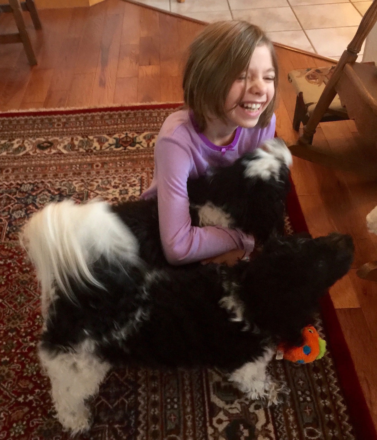 A young girls holding her dog, laughing and expressing joy. 