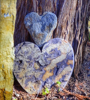 Two heart shaped stones stacked on top of one another, leaning against a large tree. 