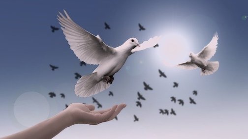 trusting love, spiritual guidance