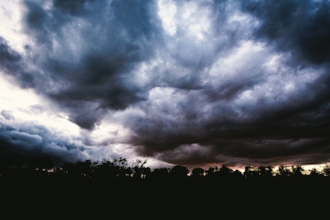 Stormy horizon over the trees. 