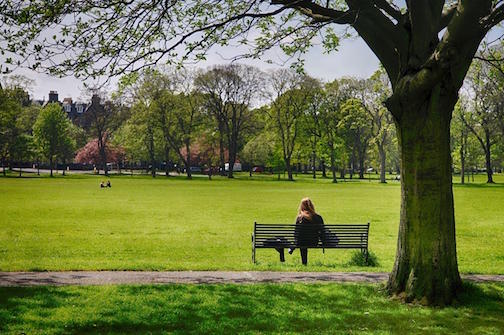 Panoramic view of a woman sitting alone on a park bench.