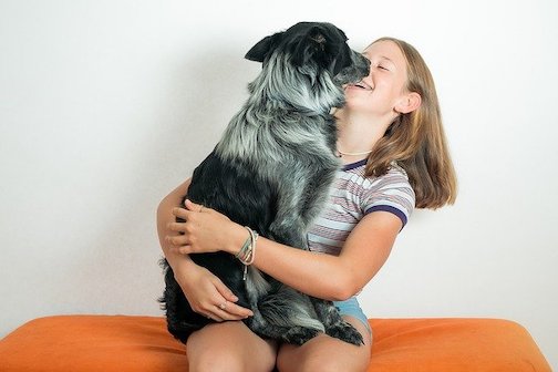 pets, dogs, cats, horses, health