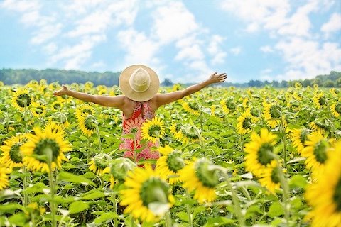 Woman in the middle of a sunflower field, wearing a straw hat and holding out stretched arms toward a partly cloudy and sunny sky. 